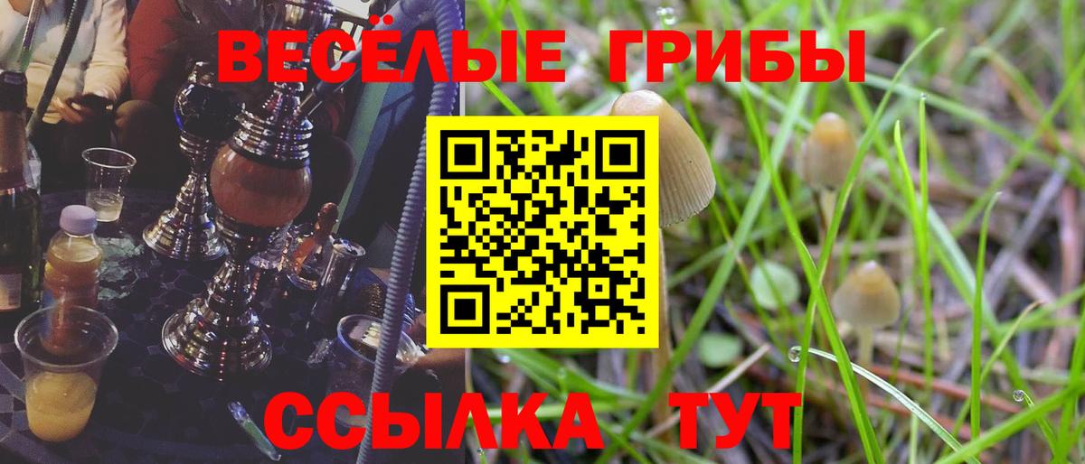 Галлюциногенные грибы Magic Shrooms  Вход с VPN  Россошь 