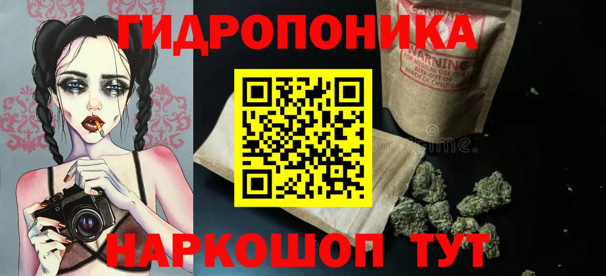 Конопля OG Kush Россошь